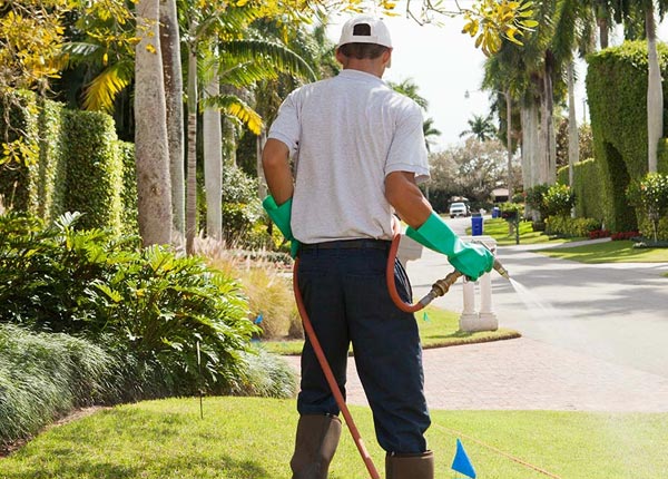 About Carlsbad CA Pest Control Pros